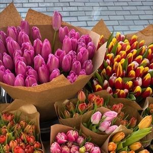 Meet your Posher, coco